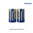 Baterai Panasonic Evolta LR20EG 1,5V