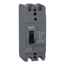 Schneider EasyPact EZC100H MCCB 2P dengan TMD (25 kA & 50 kA) | EZC100H2015, EZC100H2020, EZC100H2025, EZC100H2030, EZC100H2040, EZC100H2050, EZC100H2060, EZC100H2075, EZC100H2080, EZC100H2100