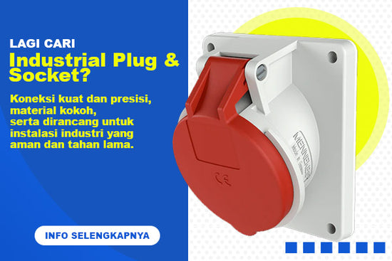 Fusibile Legrand 013001 1A Tipo AM 10x38 Mm – Certificato IEC, Per Quadri Elettrici E Protezione Motori