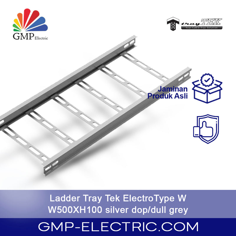 Ladder Tray Tek Electro Type W W500XH100 silver dop/dull grey