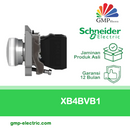 Pilot Lamp Schneider XB4-BVB1 22 mm Metal 24VAC/DC White