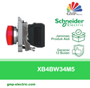 Pilot Lamp Schneider XB4-BVB4 22 mm Metal 24VAC/DC Red