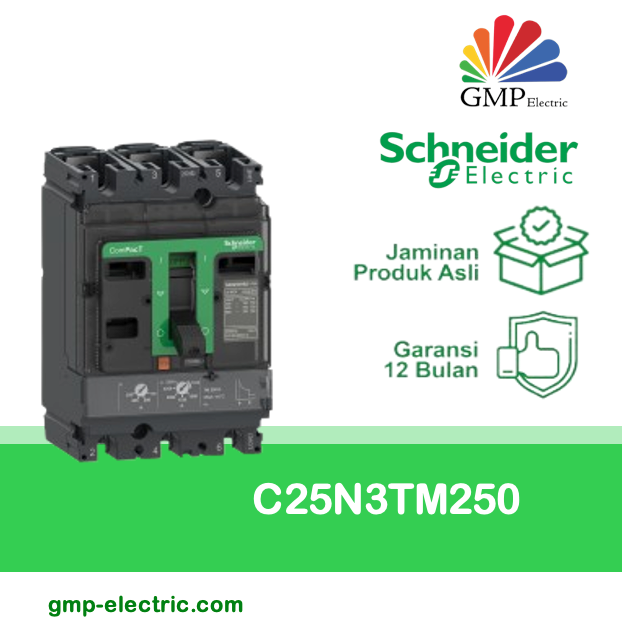Breaker Schneider Compact NSX250N 3P 250A (175-250A) 50kA C25N3TM250
