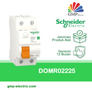 ELCB Schneider Domae 2P 25A 300mA DOMR02225