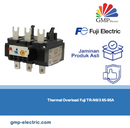 Thermal Overload Fuji TR-N6/3 65-95A