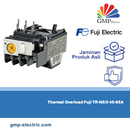 Thermal Overload Fuji TR-N3/3 45-65A