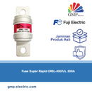 Fuse Super Rapid CR6L-300/UL 300A