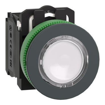 Schneider Harmony Tombol Illuminasi Rata Panel XB5 Protected LED 30mm | XB5FW31B5 / XB5FW33B5 / XB5FW34B5 / XB5FW35B5 / XB5FW36B5 / XB5FW31G5 / XB5FW33G5 / XB5FW34G5 / XB5FW35G5 / XB5FW36G5 / XB5FW31M5 / XB5FW33M5 / XB5FW34M5 / XB5FW35M5 / XB5FW36M5