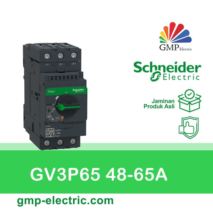 Motor Breaker Schneider GV3P65 48-65A