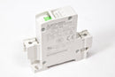 Circuit Protektor Mitsubishi CP30-BA 1P 1M 10A White